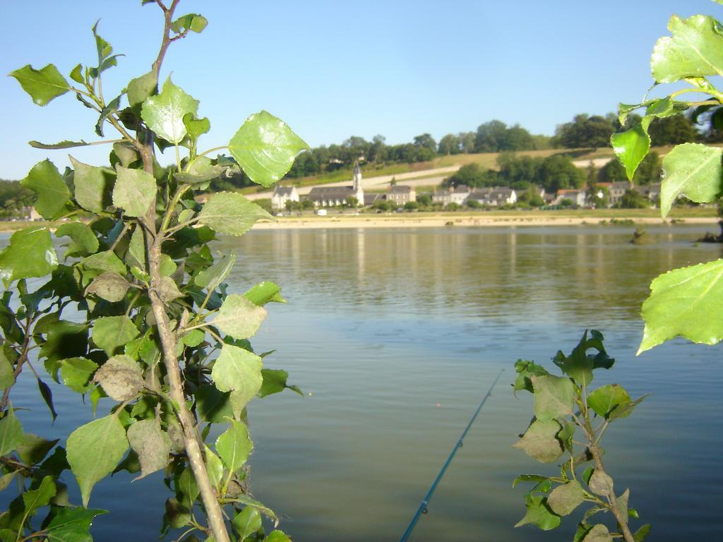 Les Bords De Loire Apartment Veuves Phòng bức ảnh
